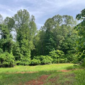 Photo #13 of STONY POINT PASS, KESWICK, VA 123.8 acres