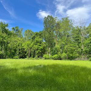 Photo #1 of STONY POINT PASS, KESWICK, VA 123.8 acres