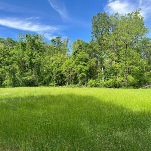 Photo #14 of STONY POINT PASS, KESWICK, VA 123.8 acres