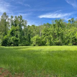 Photo #2 of STONY POINT PASS, KESWICK, VA 123.8 acres