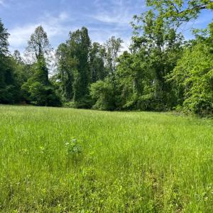 Photo #15 of STONY POINT PASS, KESWICK, VA 123.8 acres