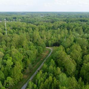 Photo #3 of LOT 9 KIMBERLY CT, BUMPASS, VA 4.0 acres