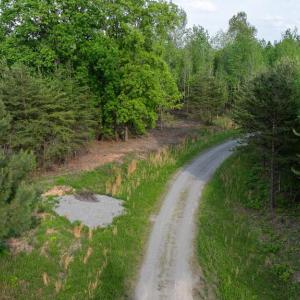 Photo #8 of LOT 11 KIMBERLY CT, BUMPASS, VA 2.4 acres