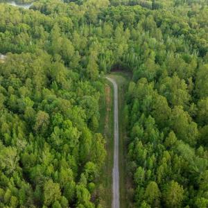 Photo #3 of LOT 11 KIMBERLY CT, BUMPASS, VA 2.4 acres