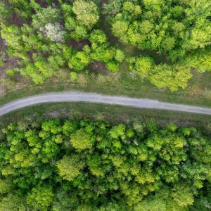 Photo #9 of LOT 11 KIMBERLY CT, BUMPASS, VA 2.4 acres