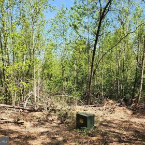 Photo #3 of MASSEY RD, SPOTSYLVANIA, VA 16.5 acres