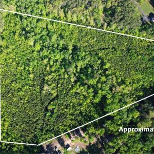 Photo #2 of MASSEY RD, SPOTSYLVANIA, VA 16.5 acres