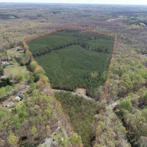 Photo #1 of  76.6 acres