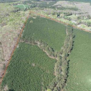Photo #3 of  76.6 acres