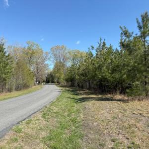 Photo #4 of  76.6 acres