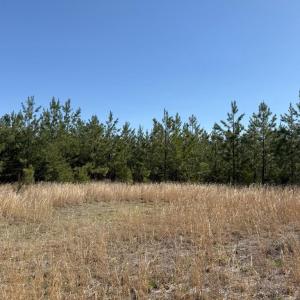 Photo #6 of  76.6 acres