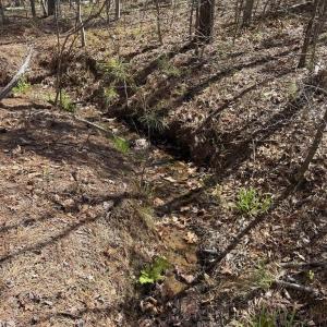 Photo #11 of  76.6 acres