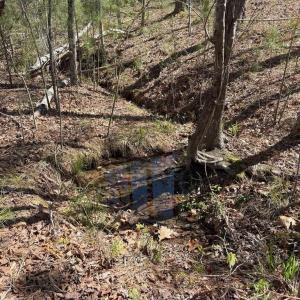 Photo #13 of  76.6 acres