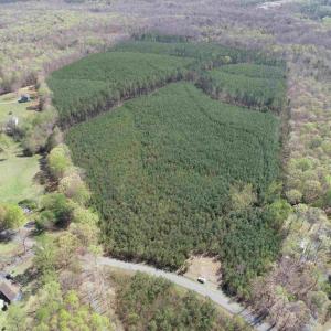 Photo #16 of  76.6 acres