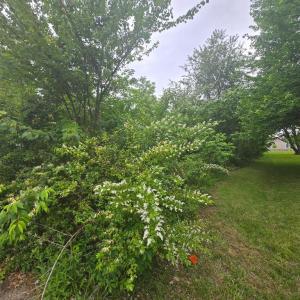 Photo #5 of 5717 LUCAS ST, FREDERICKSBURG, VA 0.3 acres