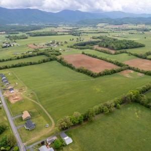 Photo #4 of TAX ID 42-A-26, LURAY, VA 37.0 acres