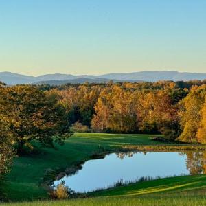 Photo #5 of HOLLY HILL FARM LANE, REVA, VA 12.2 acres