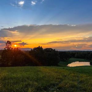 Photo #7 of HOLLY HILL FARM LANE, REVA, VA 12.2 acres