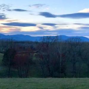 Photo #9 of HOLLY HILL FARM LANE, REVA, VA 12.2 acres