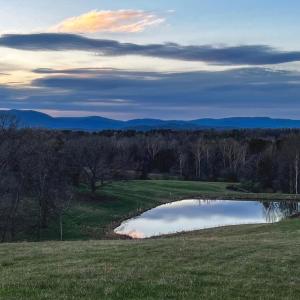 Photo #11 of HOLLY HILL FARM LANE, REVA, VA 12.2 acres