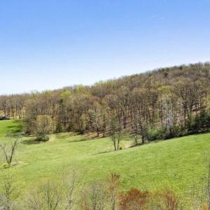 Photo #6 of HOLLY HILL FARM LANE, REVA, VA 12.2 acres