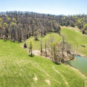 Photo #4 of HOLLY HILL FARM LANE, REVA, VA 12.2 acres