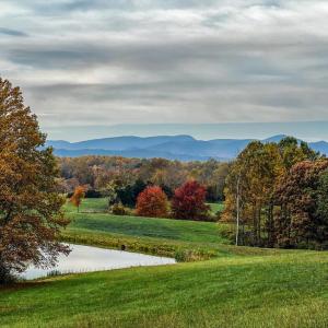 Photo #3 of HOLLY HILL FARM LANE, REVA, VA 10.4 acres
