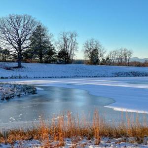 Photo #12 of HOLLY HILL FARM LANE, REVA, VA 10.4 acres