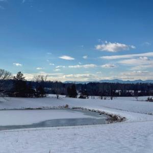 Photo #10 of HOLLY HILL FARM LANE, REVA, VA 10.4 acres