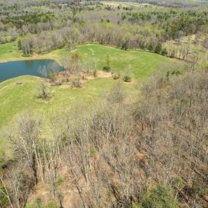 Photo #8 of HOLLY HILL FARM LANE, REVA, VA 10.4 acres
