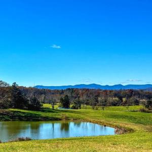 Photo #1 of HOLLY HILL FARM LANE, REVA, VA 10.4 acres