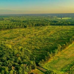 Photo #1 of OLD MILL RD, MIDLAND, VA 112.0 acres