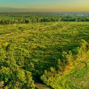 Photo #2 of OLD MILL RD, MIDLAND, VA 112.0 acres