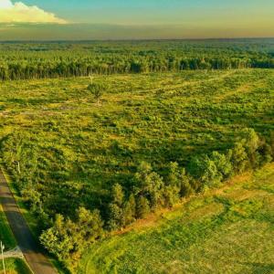 Photo #3 of OLD MILL RD, MIDLAND, VA 112.0 acres