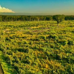 Photo #4 of OLD MILL RD, MIDLAND, VA 112.0 acres