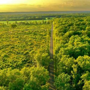 Photo #9 of OLD MILL RD, MIDLAND, VA 112.0 acres