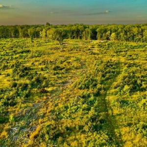 Photo #13 of OLD MILL RD, MIDLAND, VA 112.0 acres