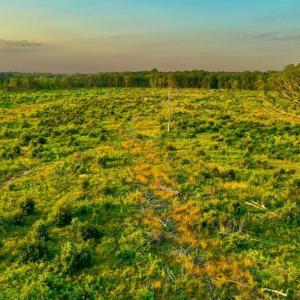 Photo #14 of OLD MILL RD, MIDLAND, VA 112.0 acres