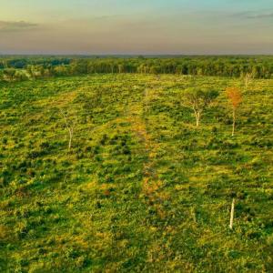 Photo #15 of OLD MILL RD, MIDLAND, VA 112.0 acres