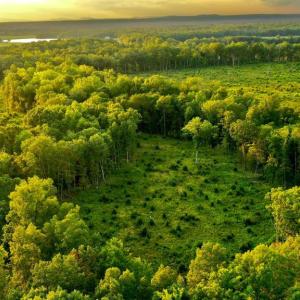 Photo #16 of OLD MILL RD, MIDLAND, VA 112.0 acres