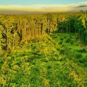 Photo #22 of OLD MILL RD, MIDLAND, VA 112.0 acres