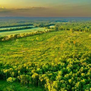 Photo #25 of OLD MILL RD, MIDLAND, VA 112.0 acres
