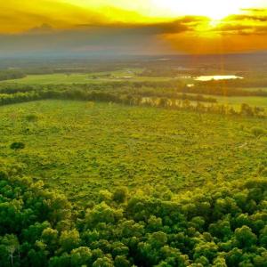 Photo #26 of OLD MILL RD, MIDLAND, VA 112.0 acres