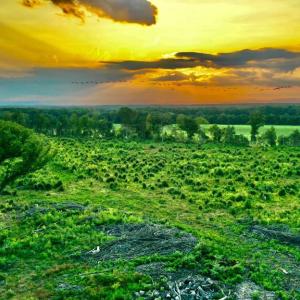 Photo #29 of OLD MILL RD, MIDLAND, VA 112.0 acres