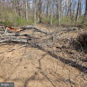 Photo #2 of MOON ROAD, SPERRYVILLE, VA 5.0 acres