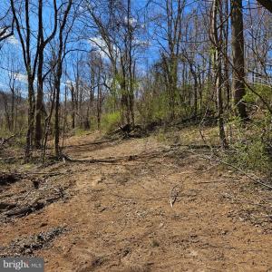 Photo #3 of MOON ROAD, SPERRYVILLE, VA 5.0 acres