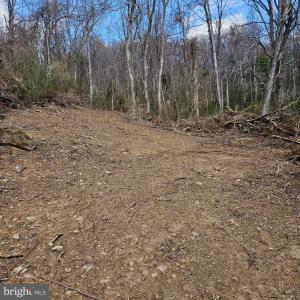Photo #5 of MOON ROAD, SPERRYVILLE, VA 5.0 acres