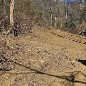 Photo #1 of MOON ROAD, SPERRYVILLE, VA 5.0 acres