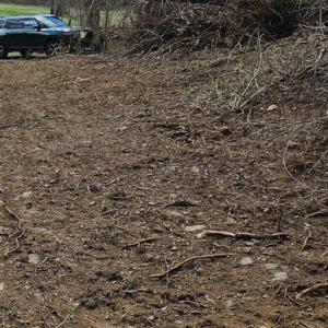 Photo #4 of MOON ROAD, SPERRYVILLE, VA 5.0 acres