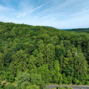 Photo #4 of FREE STATE RD, MARSHALL, VA 6.7 acres